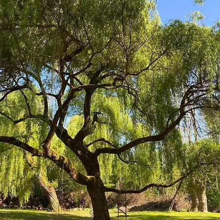 Villa-des-eaux Douces Villa *