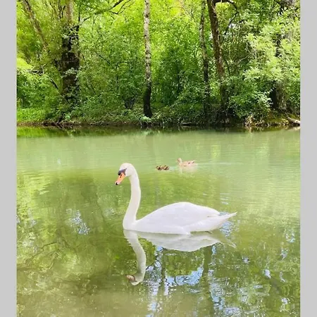 Villa Villa-des-eaux Douces Marsac (Charente)
