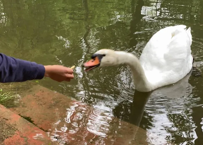 Villa-des-eaux Douces *